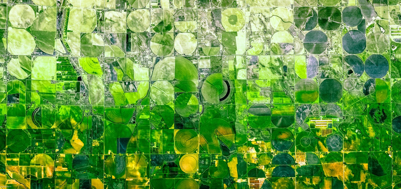 Illustration for article titled These Stunning Geometric Patterns Were Created From Google Earth Images